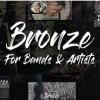 Bronze A Professional Music WordPress Theme 1.0.0 GPL Theme