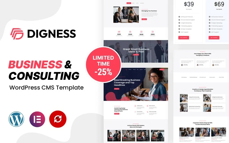 Digness Consulting Business WordPress Theme 1.0.0 GPL Theme